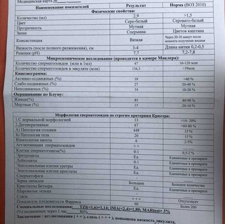 Морфология 4 процента нормальных возможна ли беременность