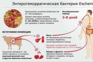 Вырабатывает ли организм алкоголь